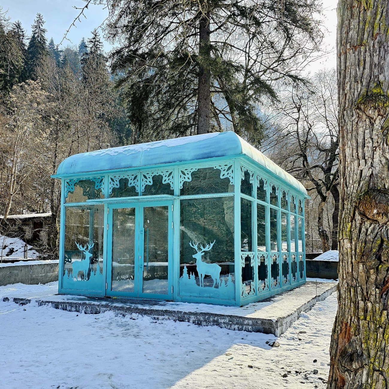 Borjomi 3