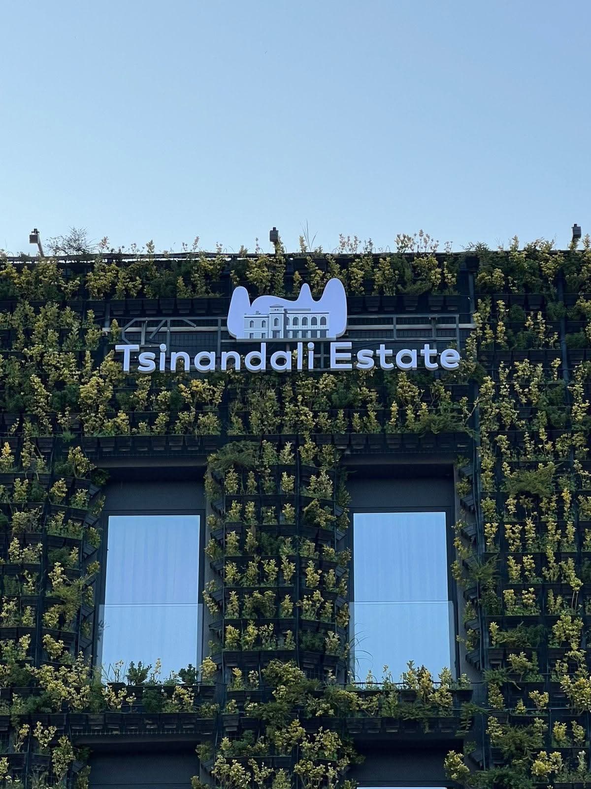 Tsinandali Estate 2